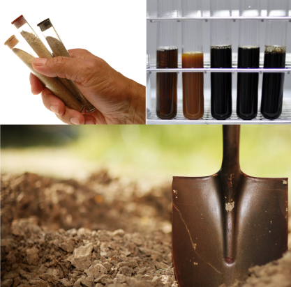 weed-science-entomology-soil-testing-lab-soil-testing-labs11